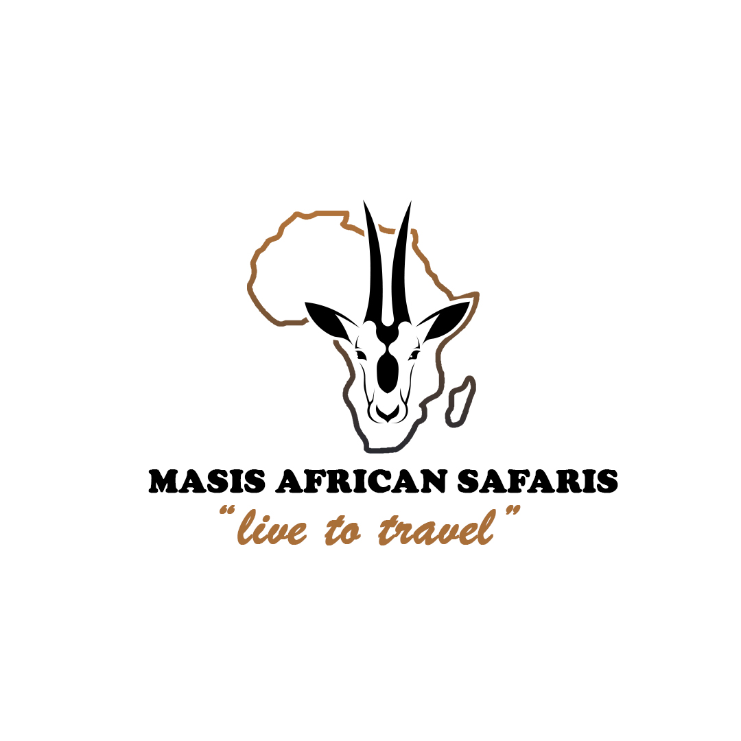 website logo